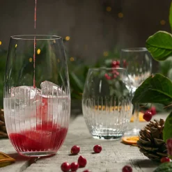 ALBA Fine Line longdrinkglas 45 cl
