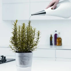 AquaStar Vattenkanna 2 Liter Grå