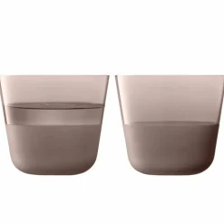 Arc Contrast Earth dricksglas, 2-pack