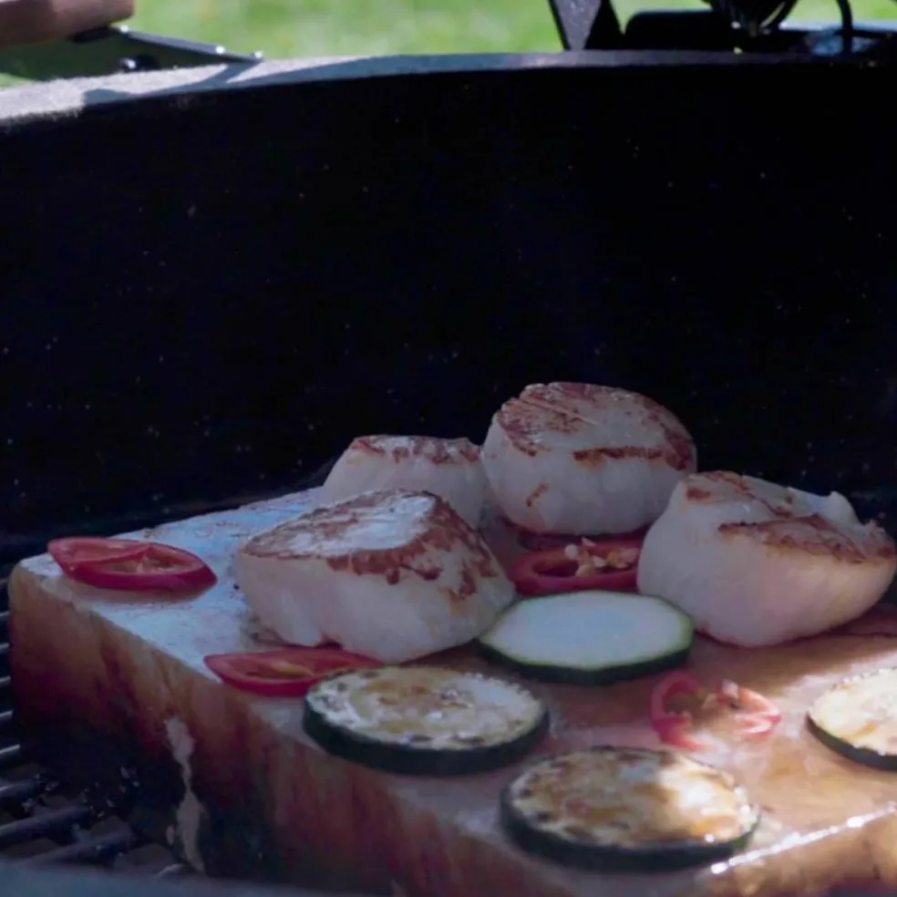 BBQ 2 saltblock + bricka