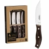 Biffkniv 4-pack