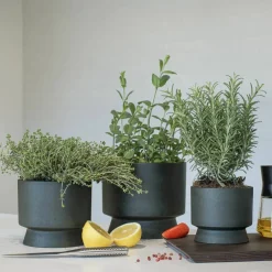Blomkruka 19 cm. bordeaux