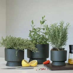 Blomkruka 15 cm. mörkgrön