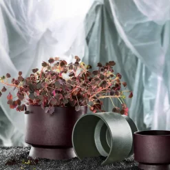 Blomkruka 15 cm. mörkgrön