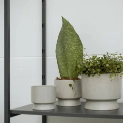 Blomkruka sand 19 cm.