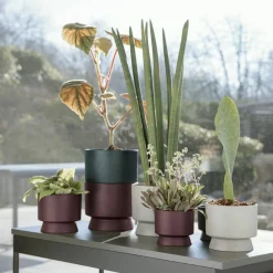 Blomkruka sand 19 cm.