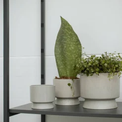 Blomkruka sand 19 cm.