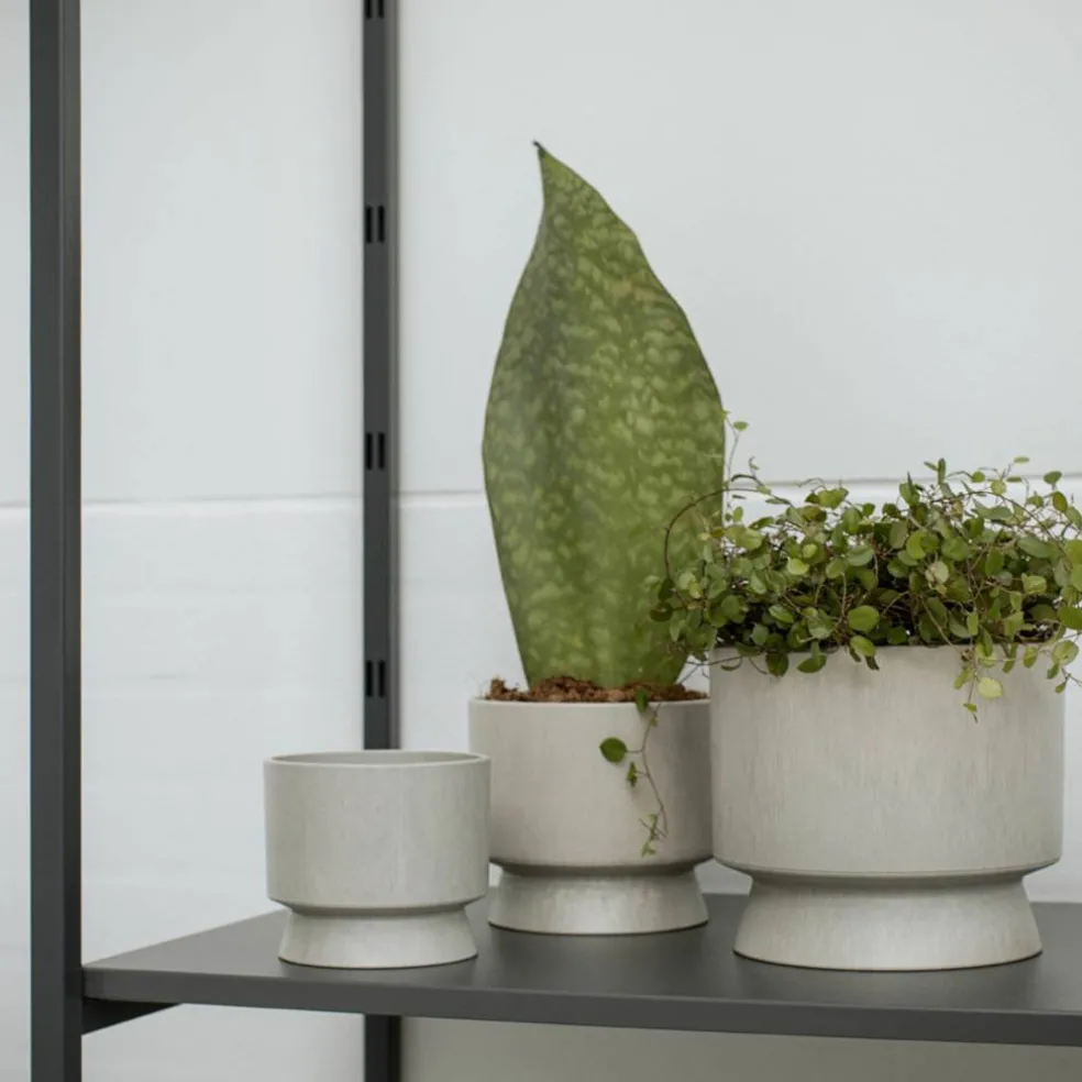 Blomkruka sand 19 cm.