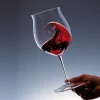 Burgundy Grand Cru Vinglas 105 cl