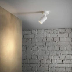 Canspot 55 Single spotlampa, vit