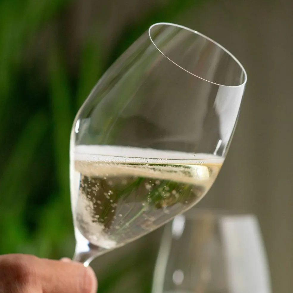 Champagneglas 4-pack