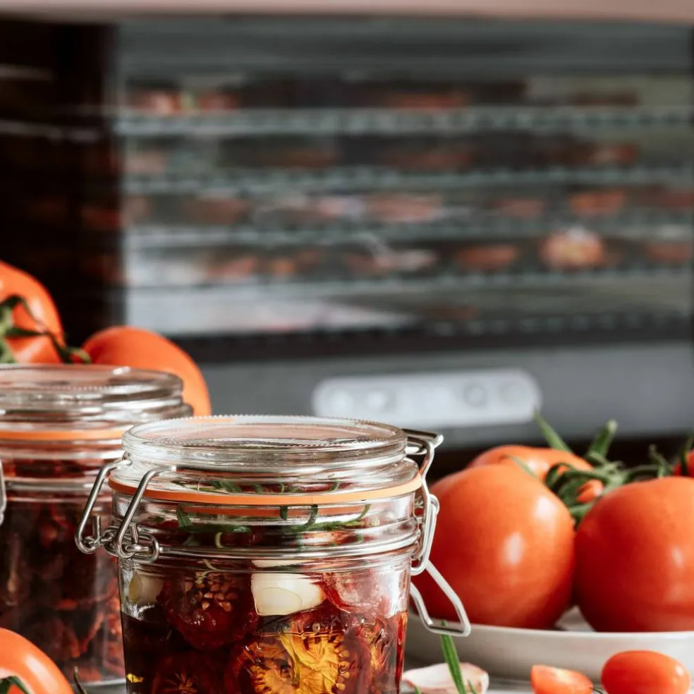 Dehydrator torkugn 5 lager