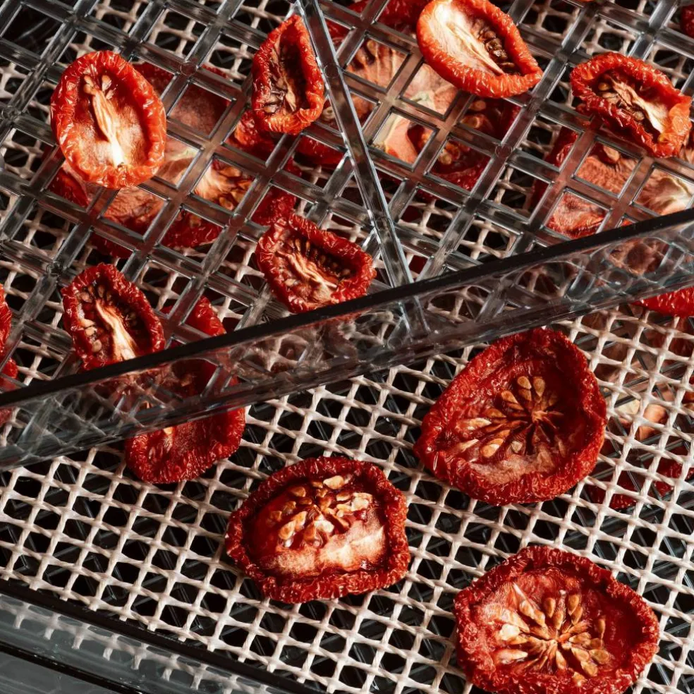 Dehydrator torkugn 5 lager