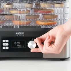 DH 450 Dehydrator 5 brickor