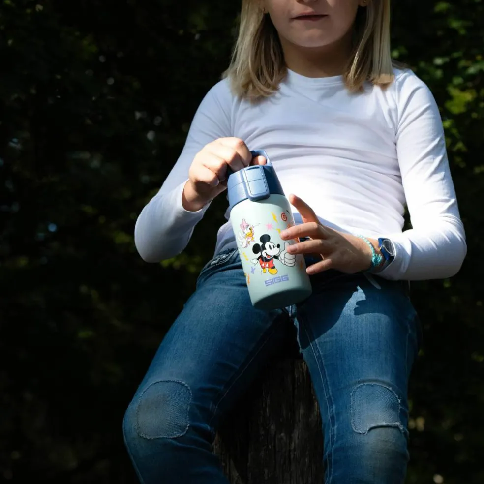 Disney Shield ONE flaska 0,5 liter, Lion King