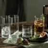 Echo longdrinkglas 48 cl 4-pack, klar