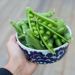 Esteri skål 13 cm.