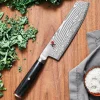 5000 FC-D Raw Nakiri grönsakskniv, 17 cm