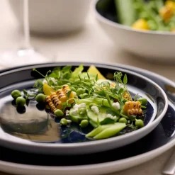 Gastro middagstallrik 27 cm, vit/mörkblå