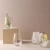 Gin Tonic Glas