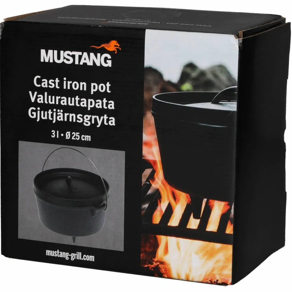 Gjutjärnsgryta 3 liter