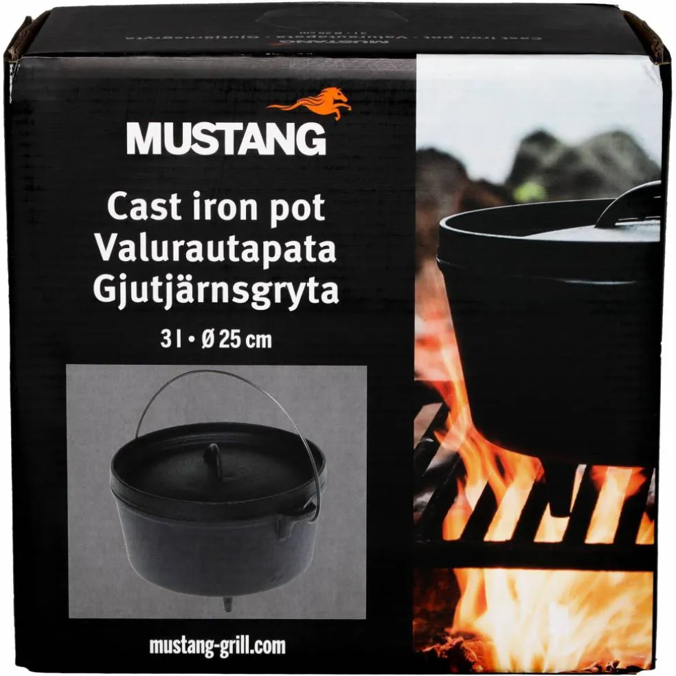 Gjutjärnsgryta 3 liter