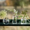 Glasvas 8 cm 3-pack, klar
