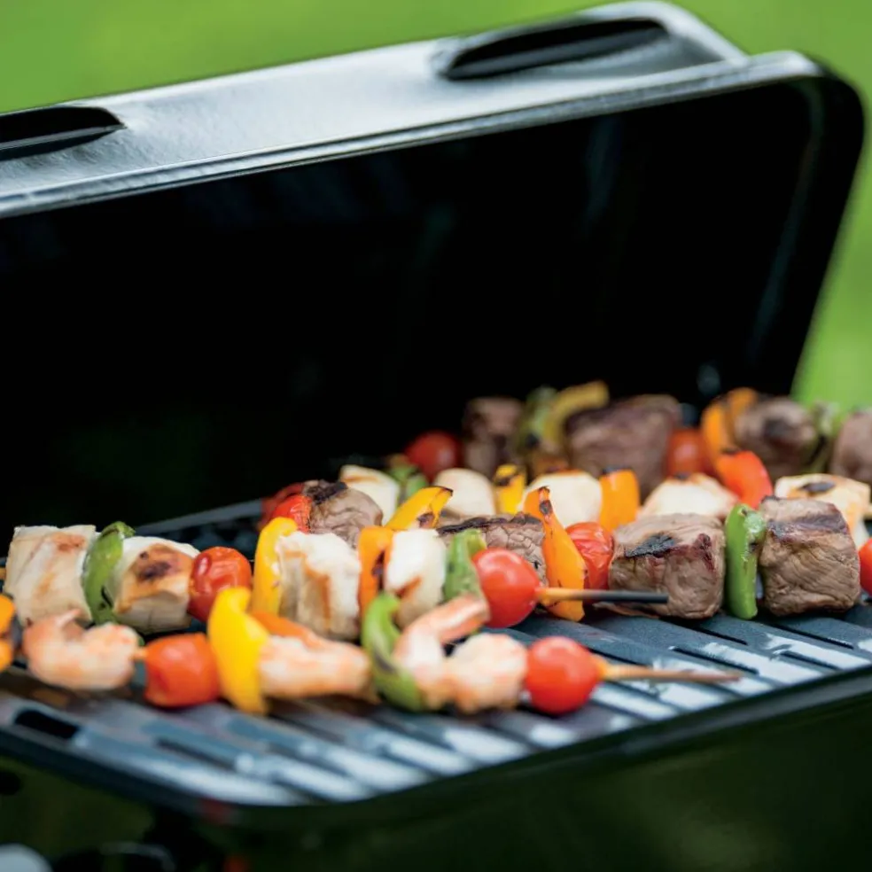 Go-Anywhere bärbar gasolgrill