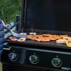 Griddle 4 stekbord