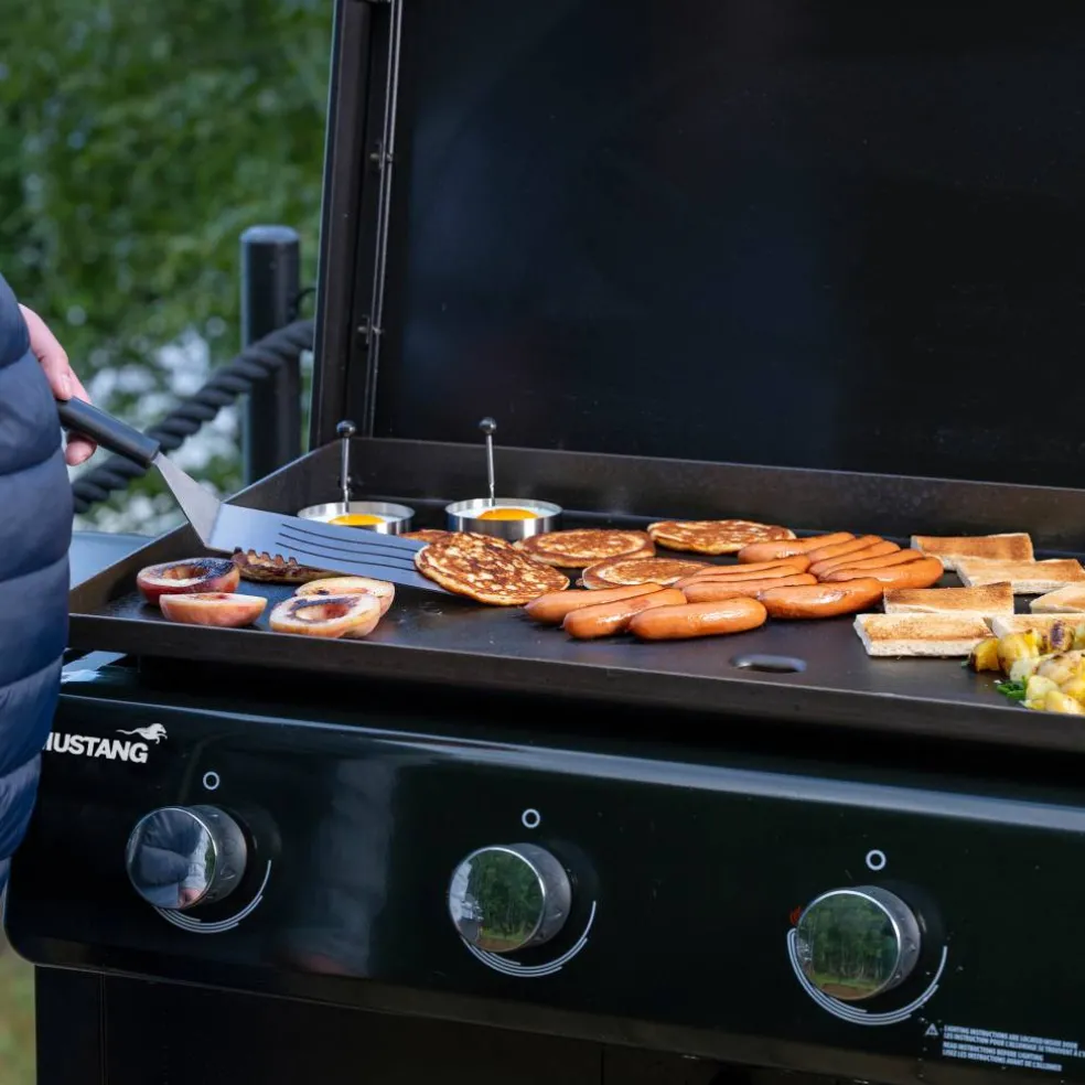 Griddle 4 stekbord