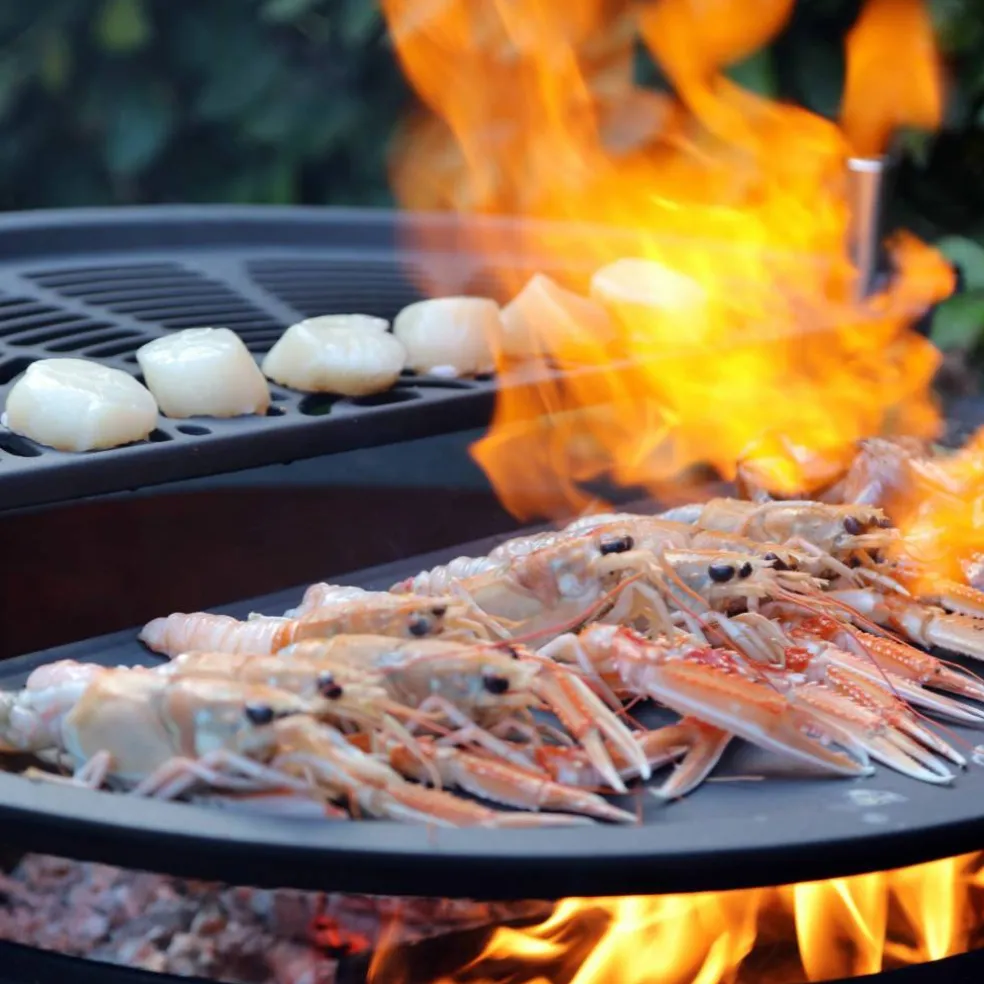 Grill 17 gjutjärn