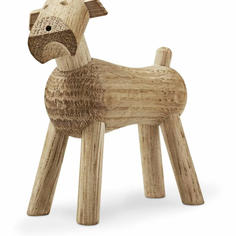 Hund Tim Ljus