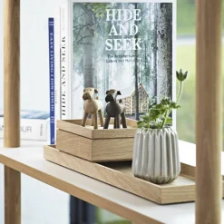 Hund Tim Ljus