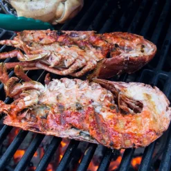Kolgrill 2XL