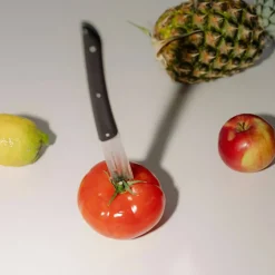 Köttkniv 4-pack, röd