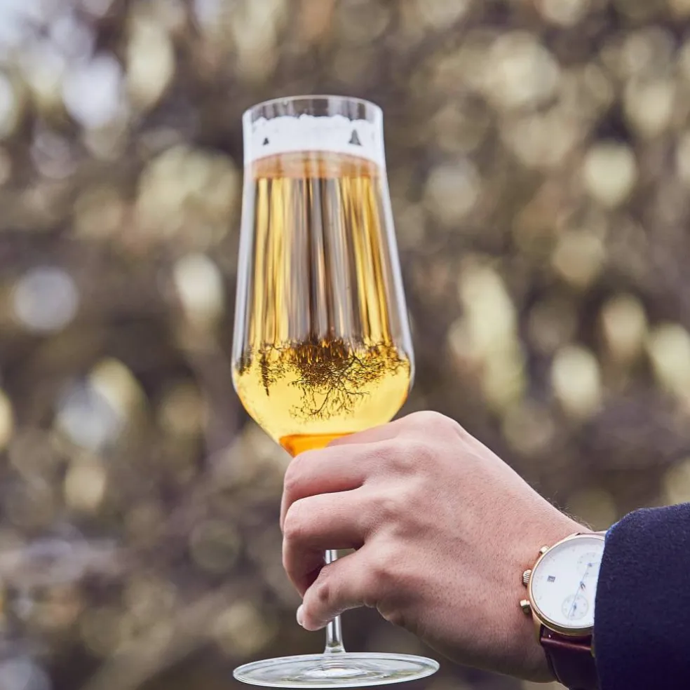 Ölglas 350 ml. 2 st.