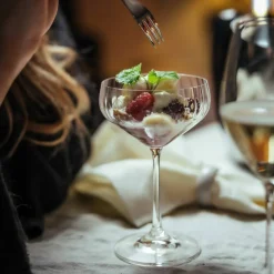 LifeStyle coupe champagneglas 4 st.
