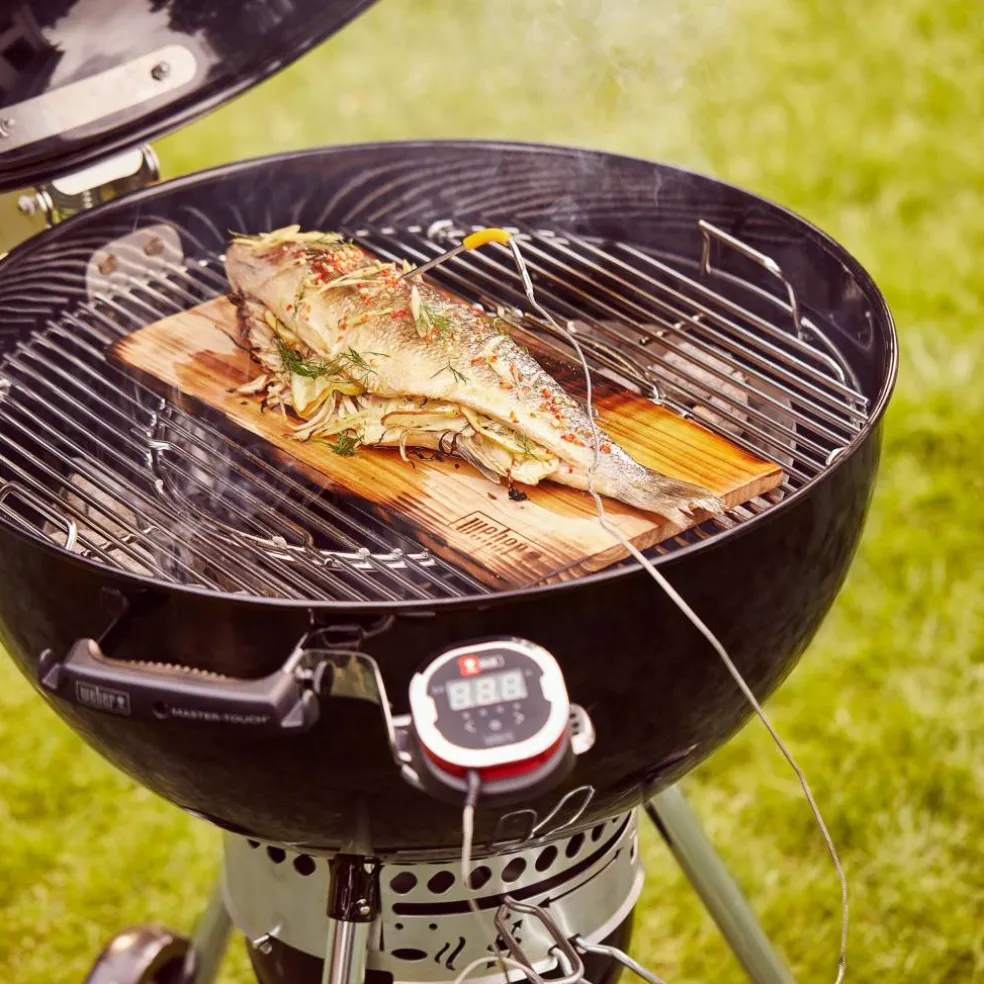 Master-Touch® GBS Premium E-5770 Kolgrill