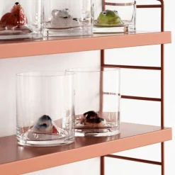 New Friends Glas Groda