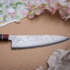 Octa 210 Gyoto kniv