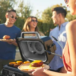 OG901EU Woodfire elgrill