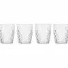Picknick Juni vattenglas 4-pack