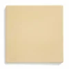 Pizzasten 10 mm