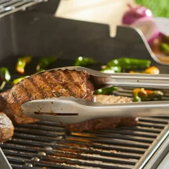 Precision Grilltång