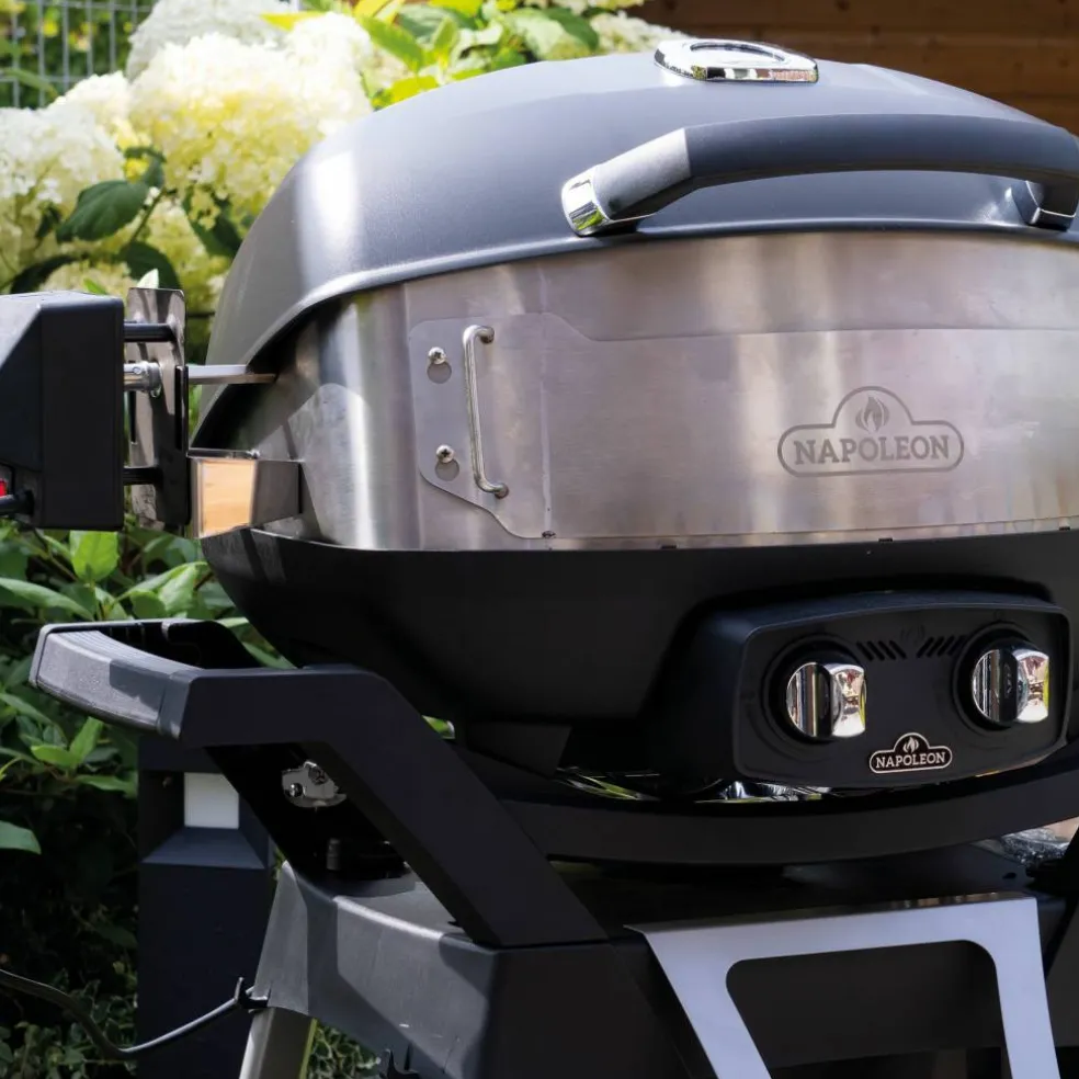 PRO285 Gasolgrill bärbar