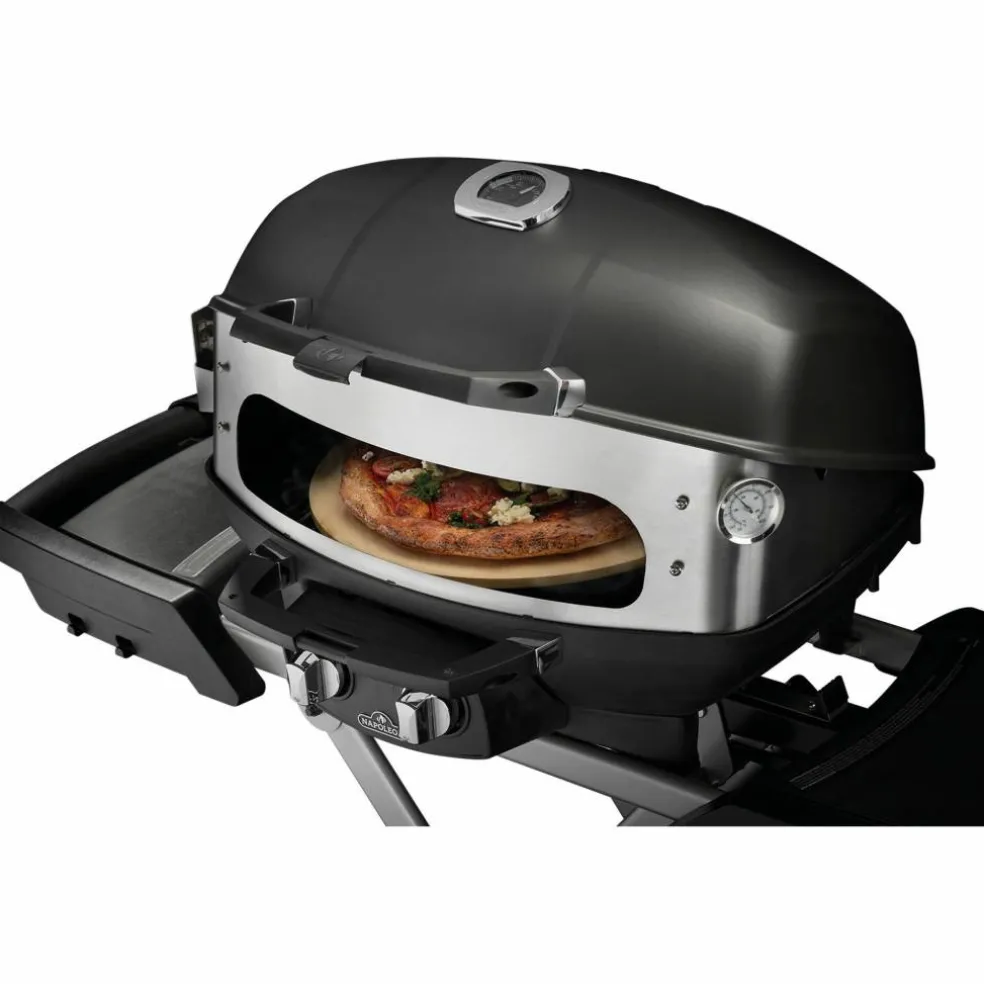 PRO285 Gasolgrill bärbar