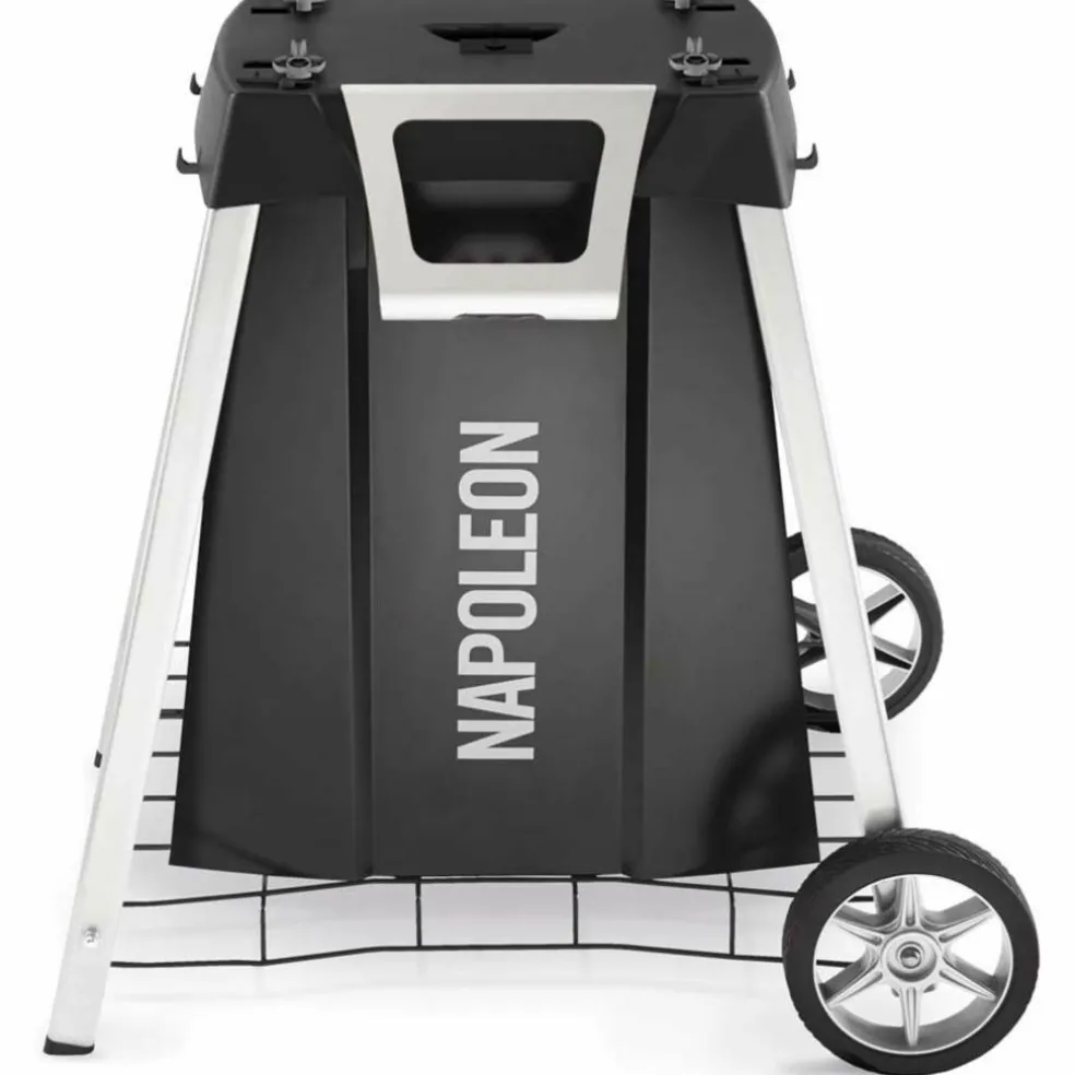 PRO285 Gasolgrill bärbar