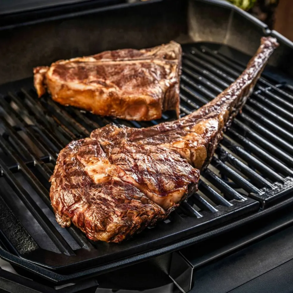 Pulse 2000 Elgrill med vagn