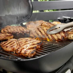 Q3200N+ Gasolgrill med premiumvagn