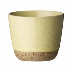 RAW Colour mugg utan handtag 20 cl, orangeish
